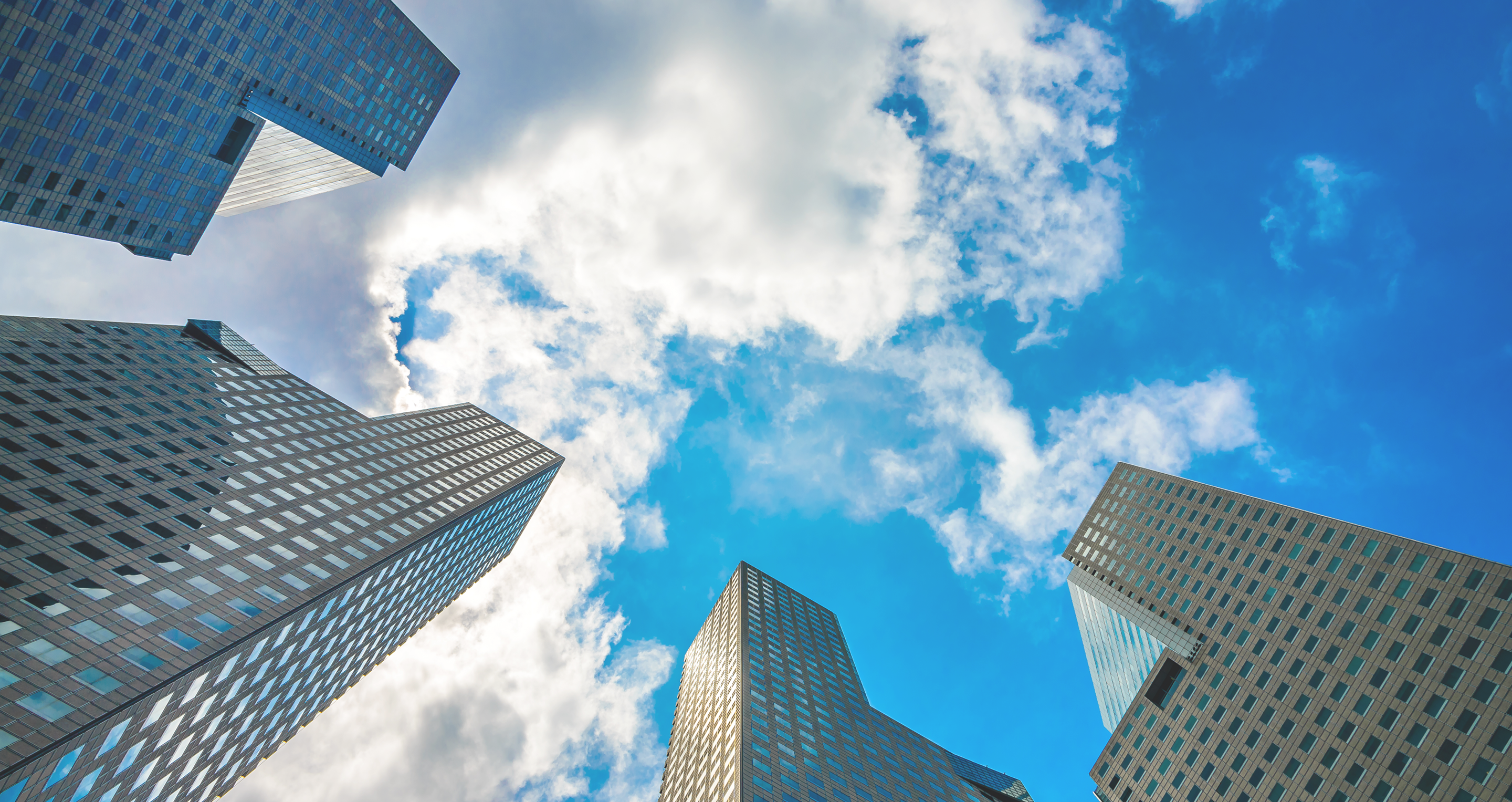 Ｚ＆Ｑ株式会社